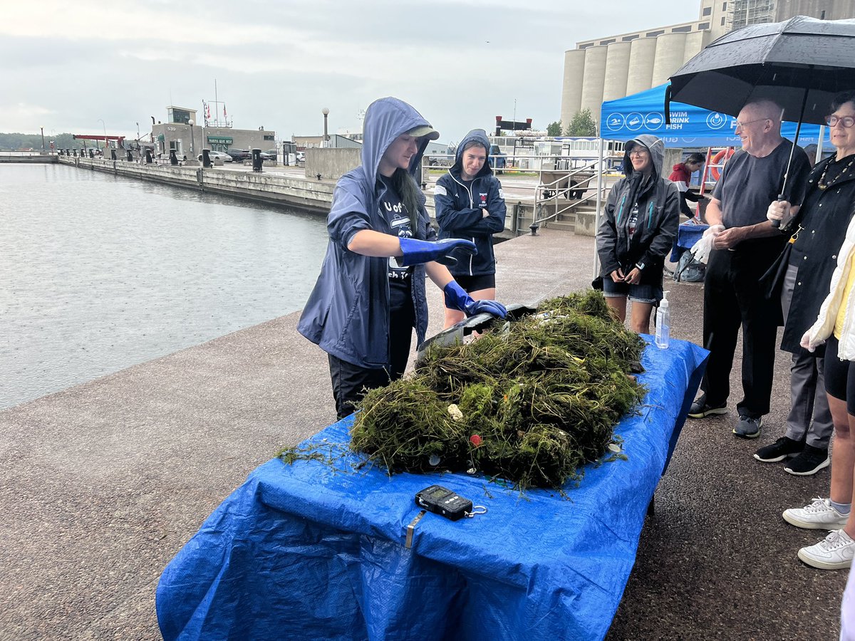 TOPortAuthority's tweet photo. Today’s public Trash Trap Dive might have ended early due to weather but with the help of @UofTTrashTeam researchers #FightingFloatablesTO partners and the community, we still collected and characterized large and small #plasticpollution from #trashtraps along Toronto’s Harbour, including @PortsToronto’s Seabins. #LastStopTheOcean