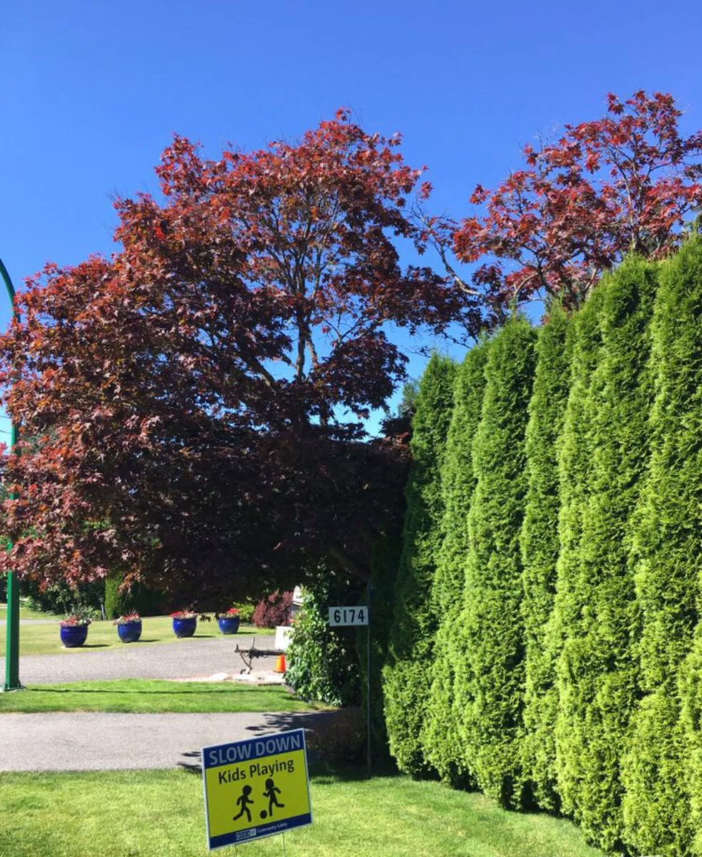 I walk around the house, the environment is quiet, passers-by are few, meet each other, although I do not know, still smile, take the initiative to greet.

Walking in such an environment is a kind of enjoyment.

# Life in Canada # Vancouver