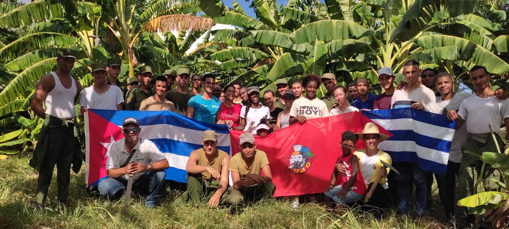 Jóvenes del Minfar en la víspera de 97 cumpleaños de #FidelPorSiempre comprometidos con la producción de alimentos.