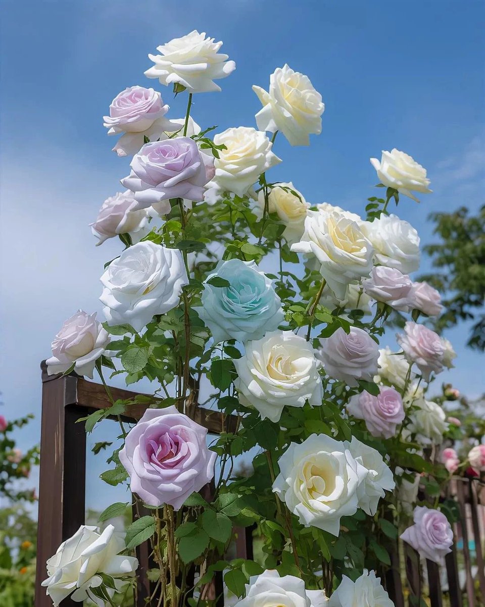 The meeting of hearts makes us talk about inexhaustible romantic feelings.😊