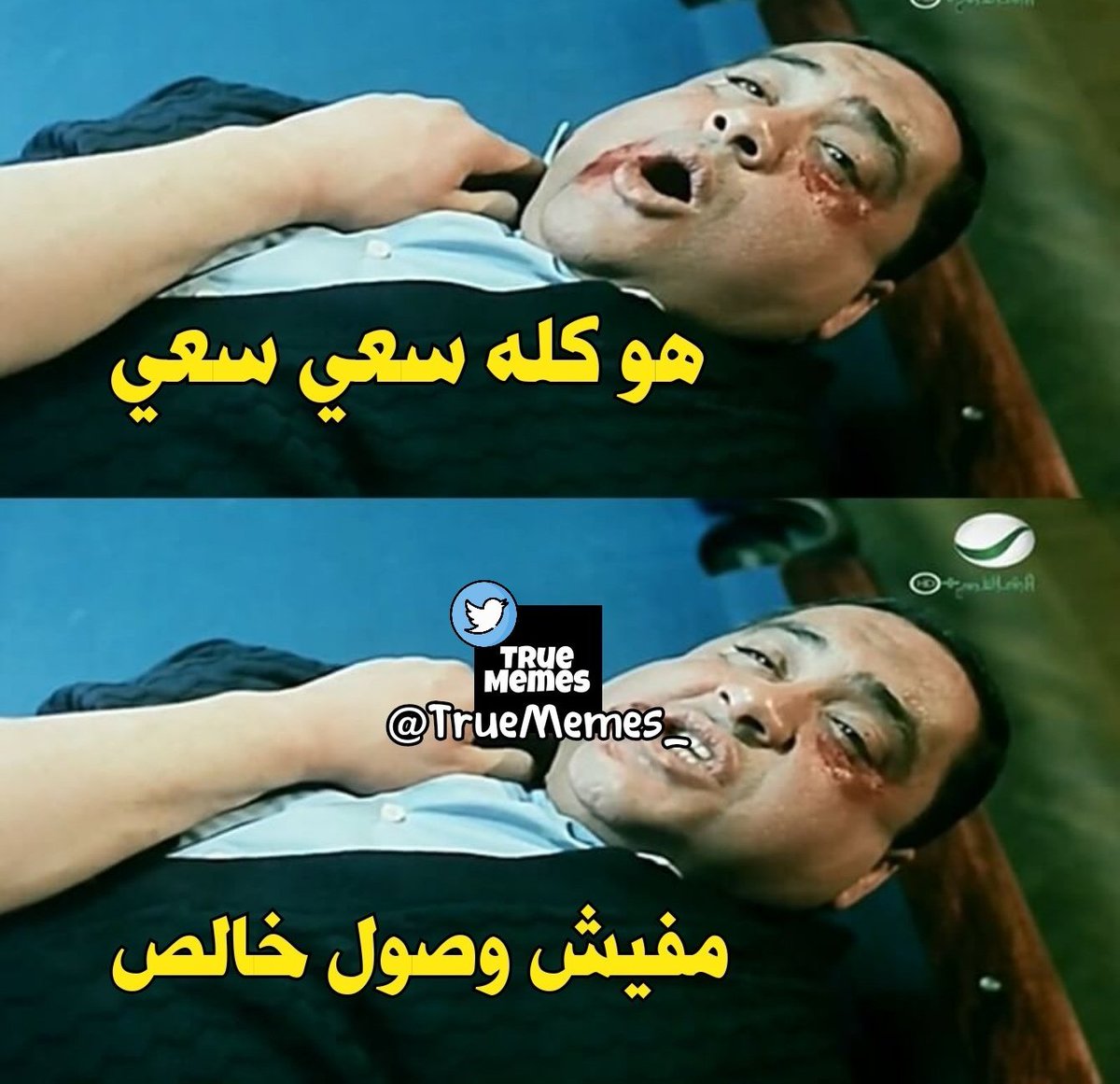 True Memes (@truememes_) on Twitter photo 