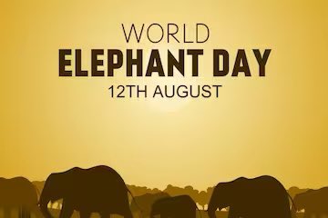 Happy #WorldElephantDay ! The theme is “Ending the Illegal Wildlife Trade”. This is very important to do. Every year, at least 20,000 #elephants are killed for their ivory tusks. This must end now! Elephants need to be protected and respected! #IvoryFree #ProtectTheElephants