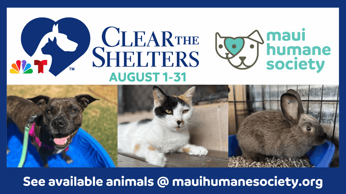 If you'd like to support the Maui Humane Society, here is their link:
buff.ly/3QAErHo