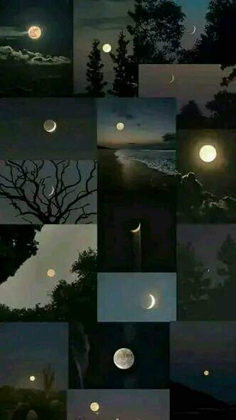 HadeuirJamman's tweet photo. ফজরের দুই রাকাত (সুন্নত)  দুনিয়া ও দুনিয়ার মধ্যে যা কিছু আছে তার চেয়ে উত্তম।🌸
– সহীহ মুসলিম_৭২৫। https://t.co/2tmfGZBksJ