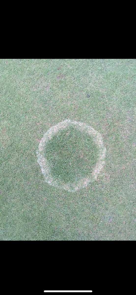 MorenoD86's tweet photo. @iTweetTurf A little collection from over the years https://t.co/8gf7R8uKgj