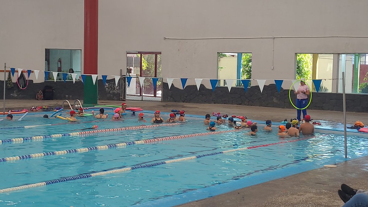 mafar2210's tweet photo. @alfagonzalezm @TlalpanAl @NataliaMcodina  les agradecería mucho que pudieran revisar el tema de falta de profesores en la alberca Morelos, el día de hoy hay 35 niñas y niños a cargo de una profesora, es insostenible por seguridad y calidad de las clases. https://t.co/u4KIqfp9iF