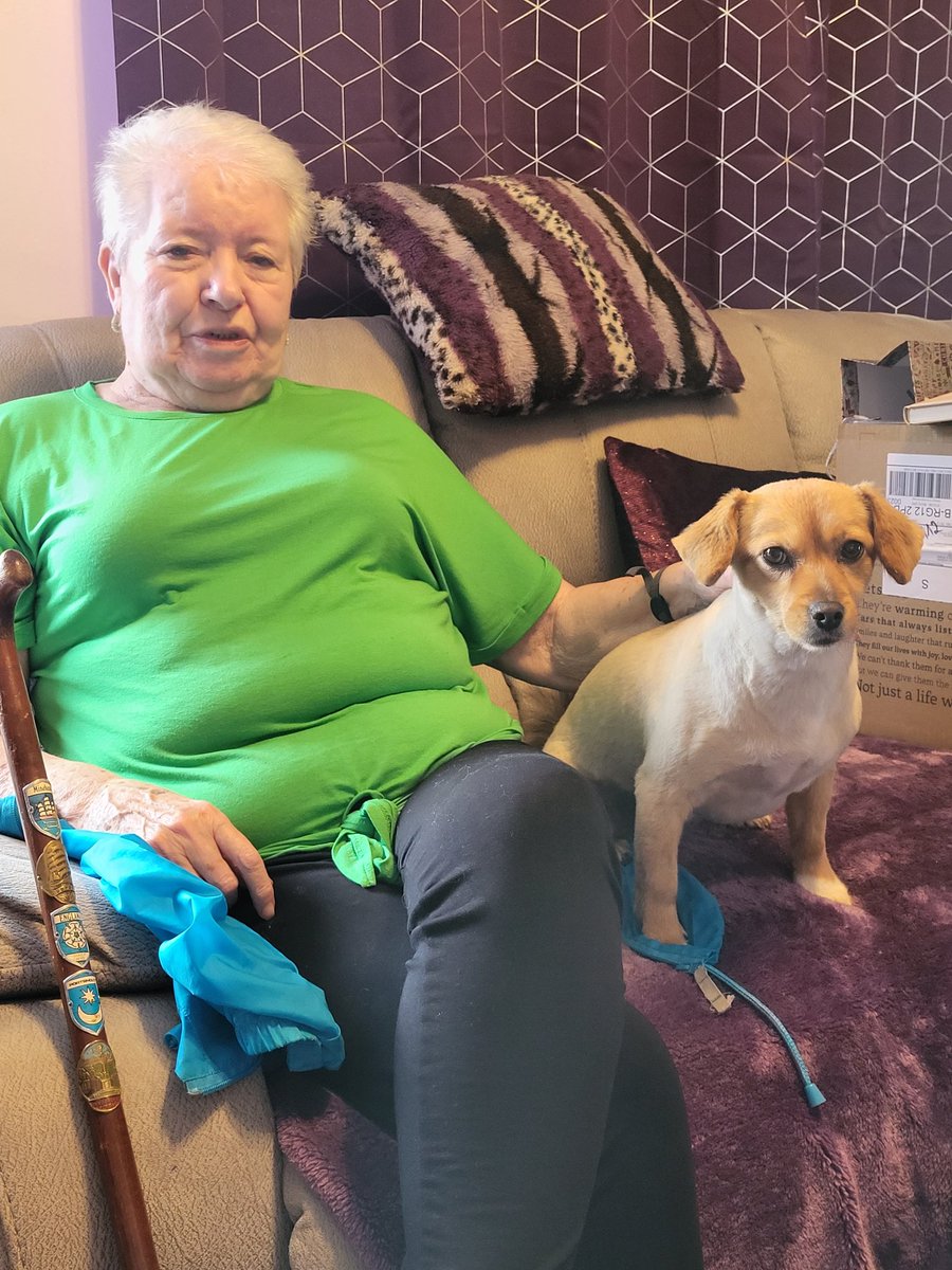 Amy here. Had my Auntie Maggie visit this afternoon. She always gives me lots of cuddles and belly roobs. Can't beat belly ROOBS 💜💜💜