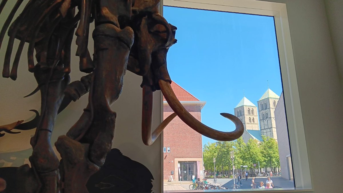 Prof. Dr. Michaela Spiske tweet media