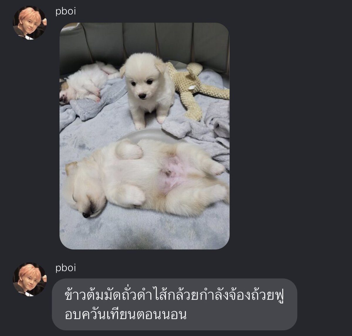 ดูมันตั้งชื่อหมา เห้อ ปาตี้ 💘💘💘