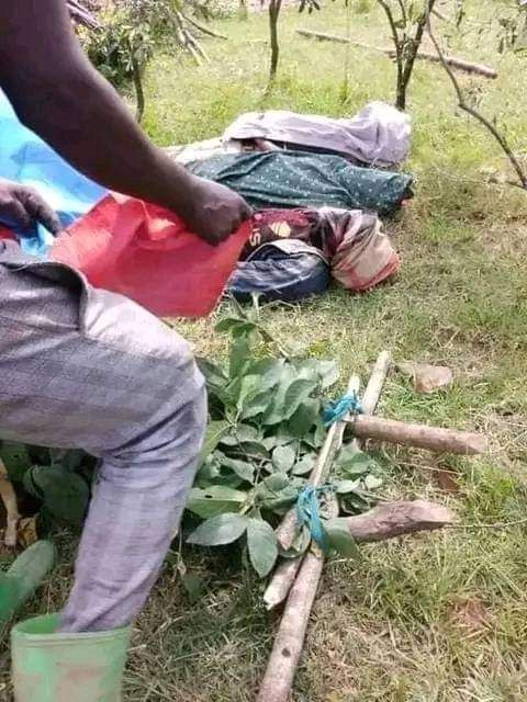 ollaaOromo's tweet photo. Sources claimed that the #Ethiopian government security forces killed 12 civilians in Cobi districts West Shewa zone of #Oromia.  OLLAA condemn such brutal killing and call up on the government to make the preparators accountable. @EthioHRC @AmnestyEARO @hrw @StateDept @USEmbassyAddis