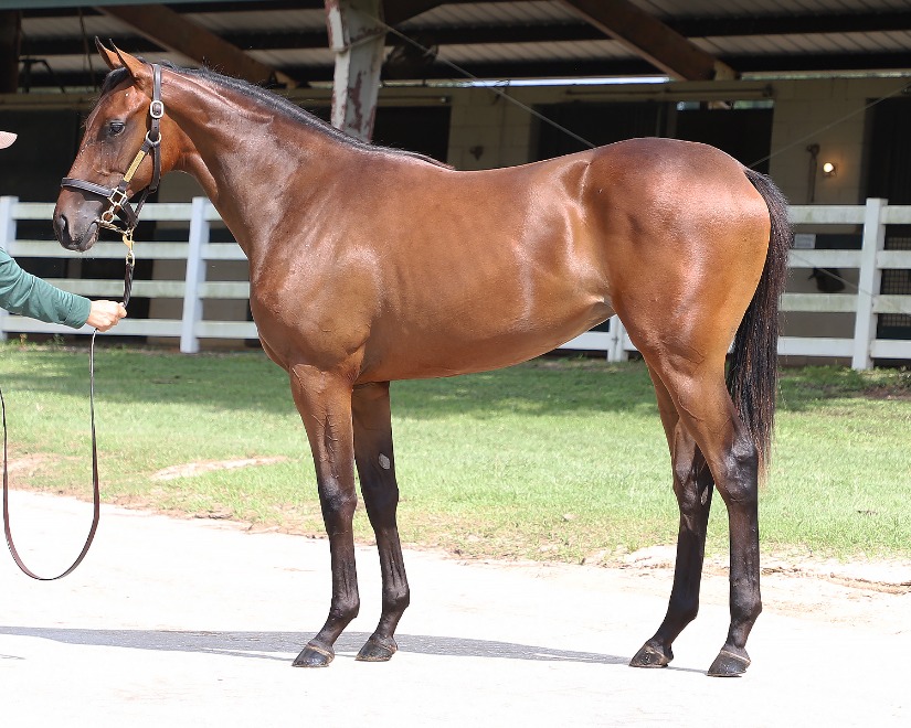 Gainesway tweet media