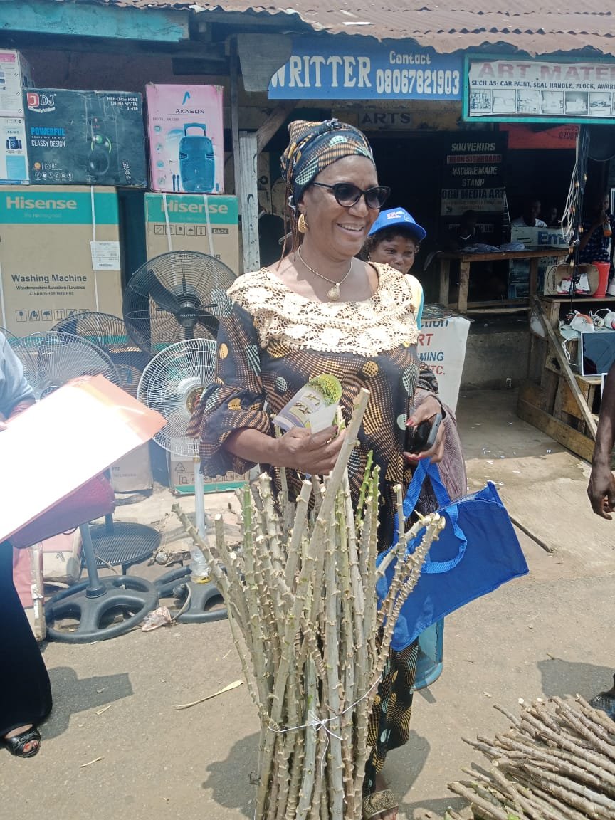 Improved #cassava #stems businesse #promo continues in makurdi, Benue State capital.
Please contact me on 07034143064 for your quality improved cassava stems.