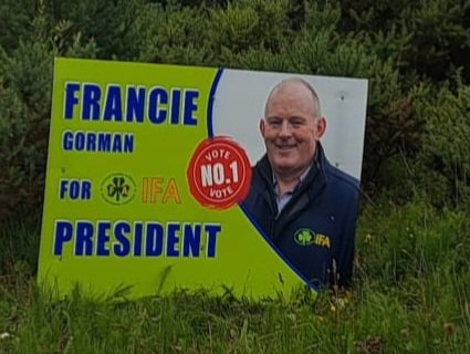 Sheelagh Coyle tweet media