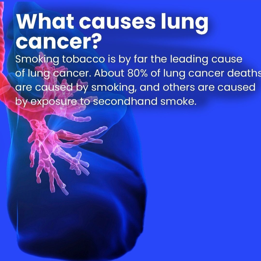 Gear Health tweet media