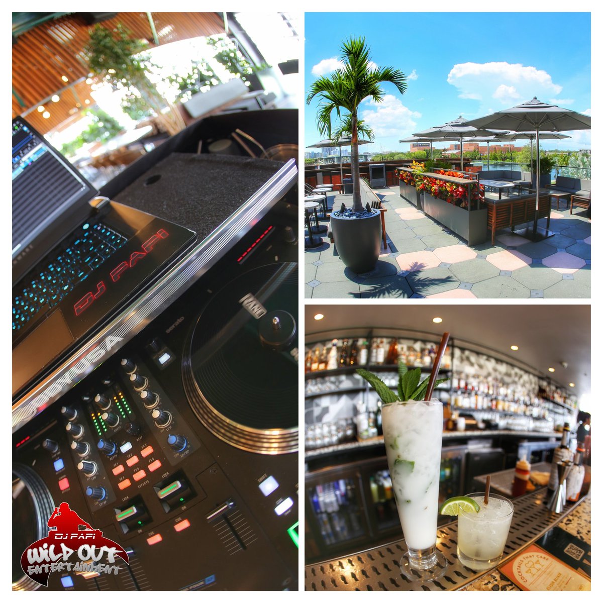 DJPapiTampa's tweet photo. Always a vibe at M. Bird!!
In the mix till 5pm!
🫶🏽@wildoutentertainment https://t.co/535b2ULrGz