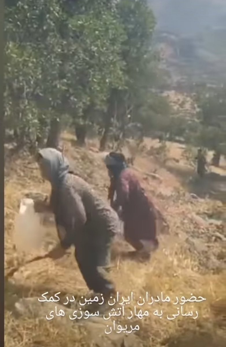 behzadm75's tweet photo. خیلی نامردیه اگه حضور مادران ایران زمین در کمک رسانی به مهار آتش سوزی های مریوان دیده نشه.
واقعا دمتون گرم وطن پرست شمایید باید دستتونو بوسید♥️ https://t.co/bdHYvOjh5n