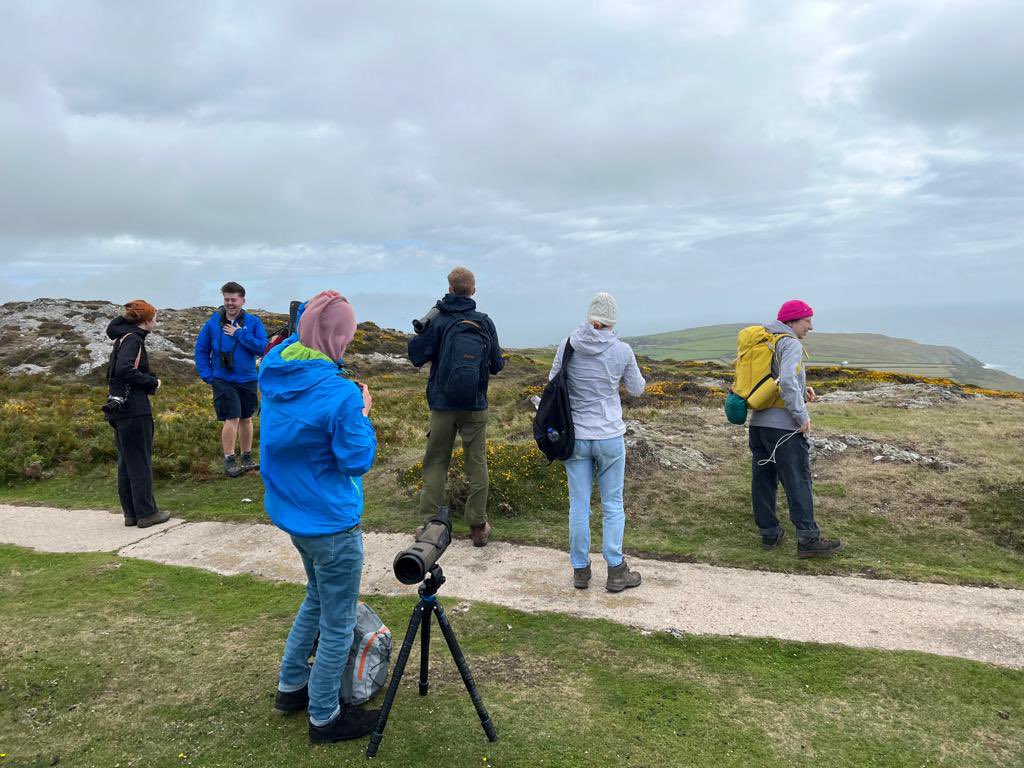 High winds may have stopped the crossing today, but didn’t stop us from birding 🤪 

Sea watching off the Llŷn Peninsula: 200+ Manxies, c.50 Gannet, Kittiwake, 9 Fulmar & 15 Red-billed Chough kept us company 🔭 All with our next destination in view… #BardseyIsland @britishbirds