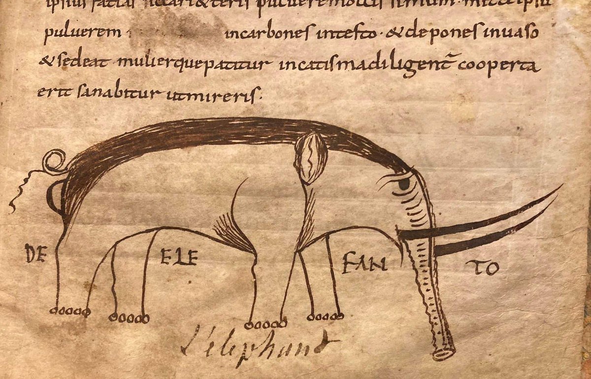 Huisvanhetboek's tweet photo. Het is de internationale dag van de #olifant. Vandaag delen we een paar prachtige olifanten uit onze collectie.
Beeld:
- Speculum humanae salvationis
Nederland, ca. 1474-1475
- Vroolijke Dieren
Schrijver, illustrator en uitgever onbekend, ca. 1930
#bookmuseum #dayoftheelephant https://t.co/qyHgLPW3mV
