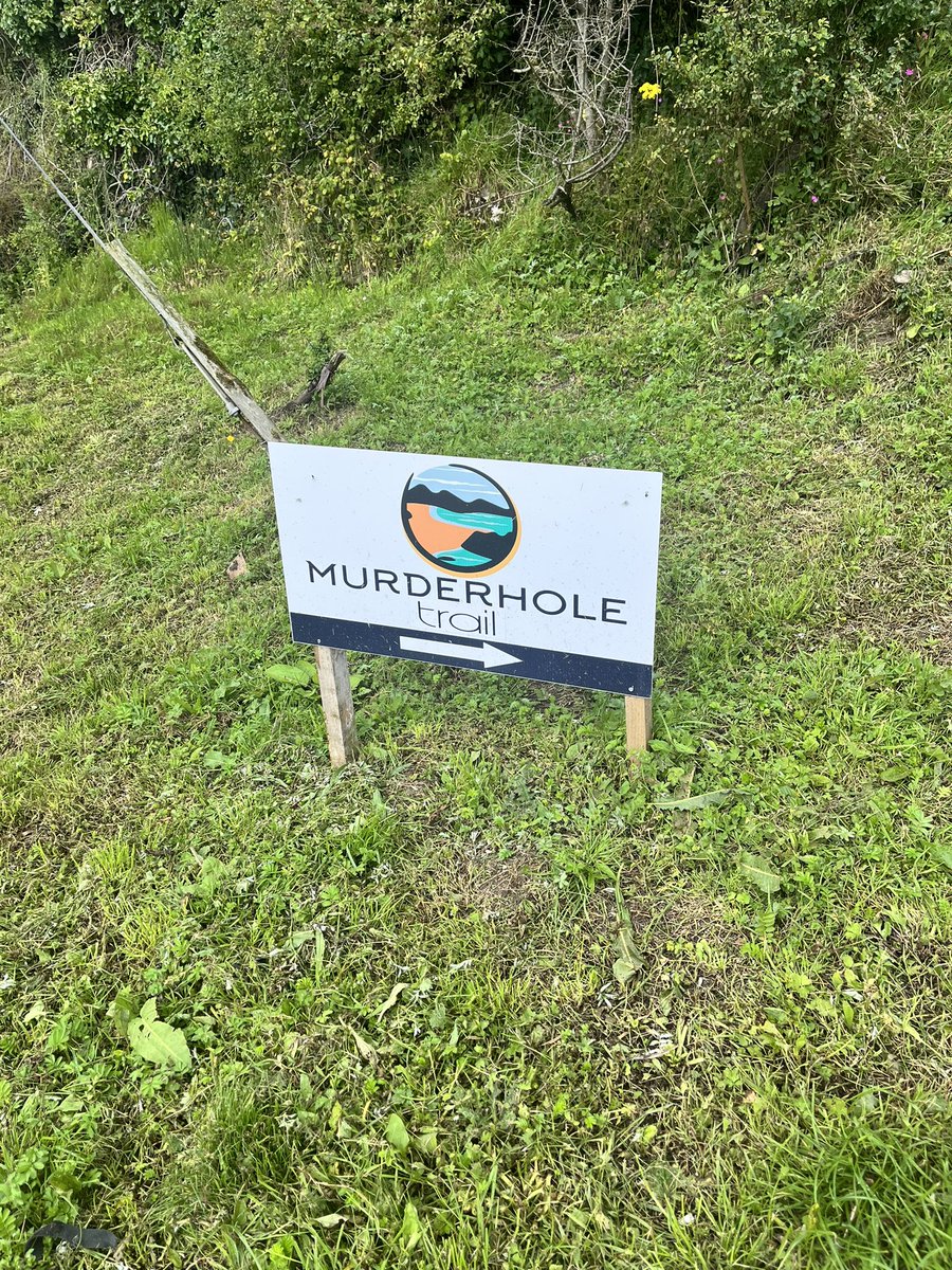 Sally Anne Sherry tweet media