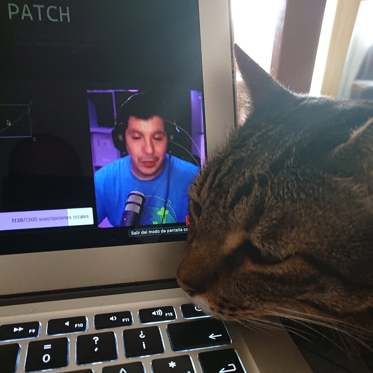 ivan33po's tweet photo. Escuchando al bueno de @midudev bien acompañado 😸 https://t.co/8ucvvcC7i4