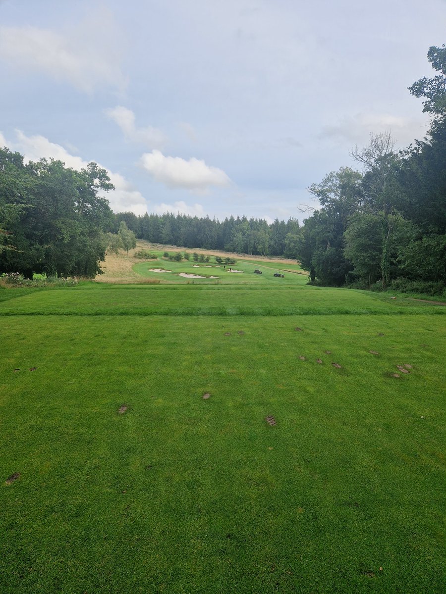 d_cornish1986's tweet photo. Got to love an evening shift @goodwood_golf ready for the men's club champs tomorrow #thedownscourse #greenkeeping #eveningshift #clubchamps https://t.co/edOhcDFgnW