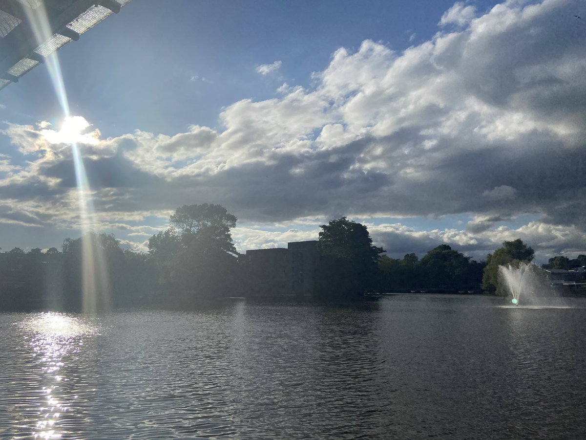 15minutes mindfulness walk - just for me <a href="/SaferSurgeryUK/">AfPP - SaferSurgeryUK</a>  #AfPPConf2023 <a href="/Celynn/">Celynn Morin</a> Thank you for the reminder to look up, and the look after no.1 sometimes. There are some curious 🪿 out there tonight ☺️