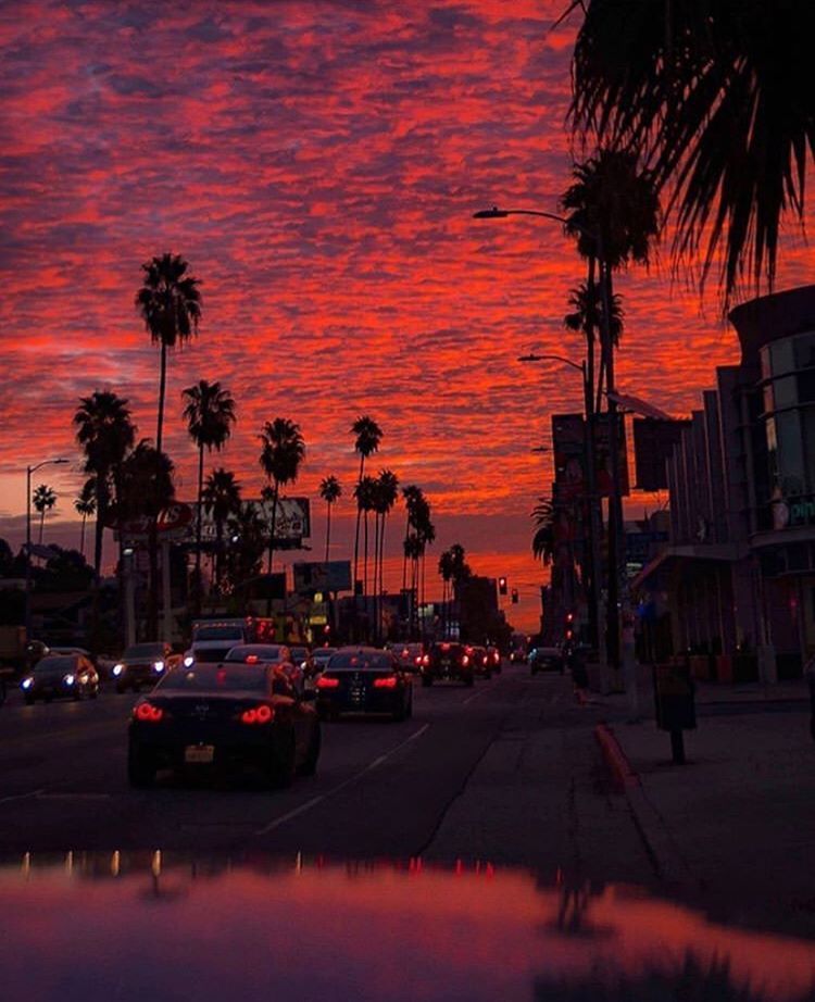 Thevikingchef8's tweet photo. Guess where I might be moving to soon.? Putting it into the universe #Hollywood #actor #ActorsStrike #films #California #NYC I do not own rights to this picture! #dreams   #free #mason #eye #palmtrees #LosAngeles #goodbye #warm #chef #culinary https://t.co/k3Z1uufa1A