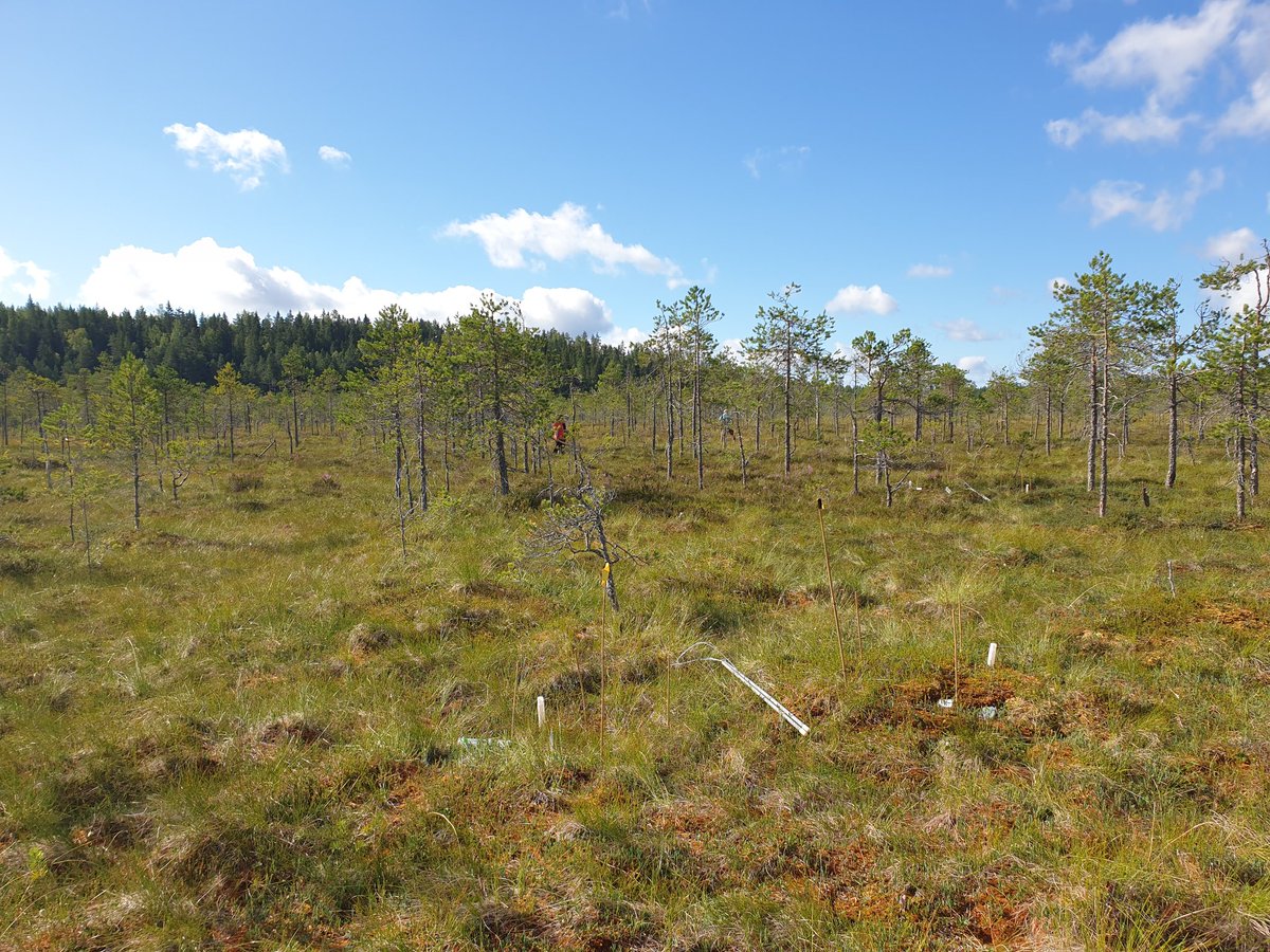 J M Barel 🟥 tweet media