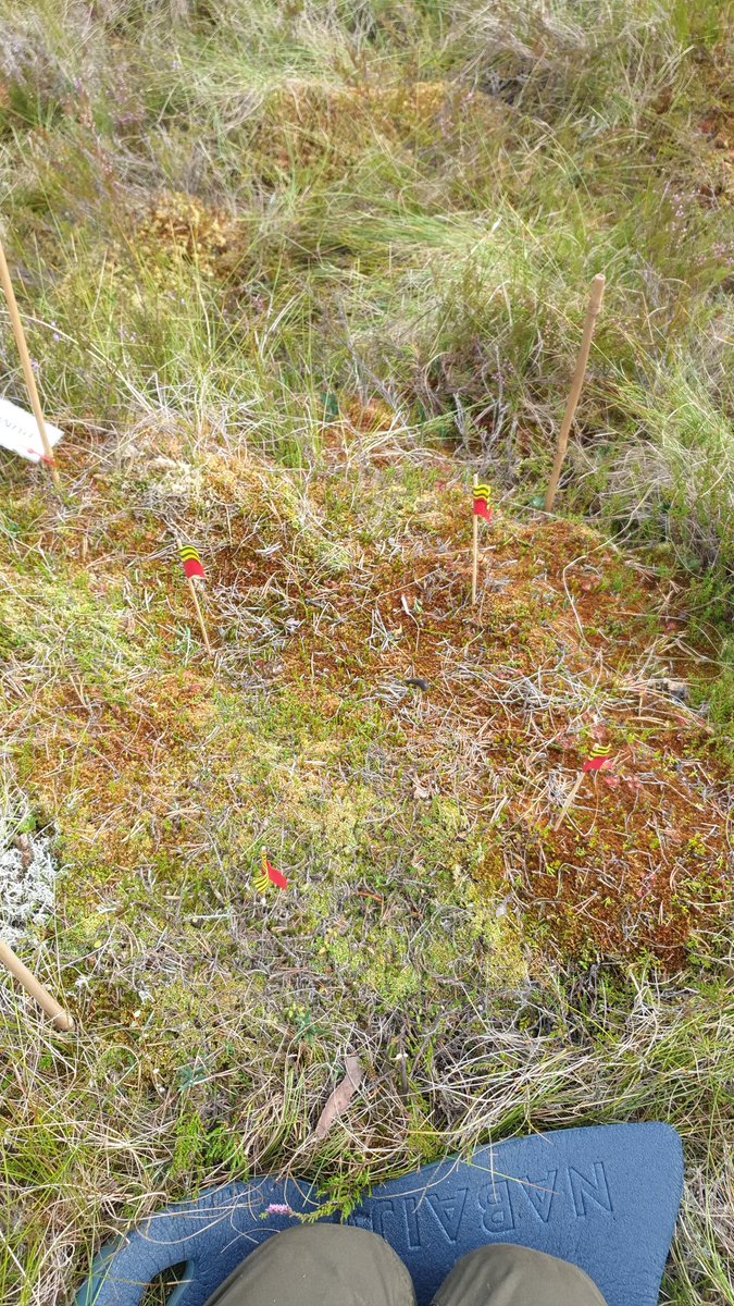 J M Barel 🟥 tweet media