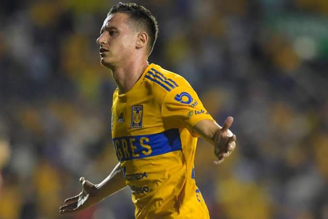 JaimeGarza94's tweet photo. ¿Cómo tomarían un hipotético regreso de Florian Thauvin al equipo de Tigres, amigos?

Mamalón ❤️
No estés mamando 🔁 https://t.co/musSs7b2A1