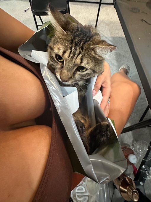 The moment Chompy became a man. https://t.co/jJ0Cv6uDdu