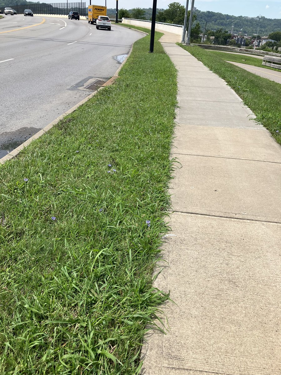 Mark Jeffreys tweet media