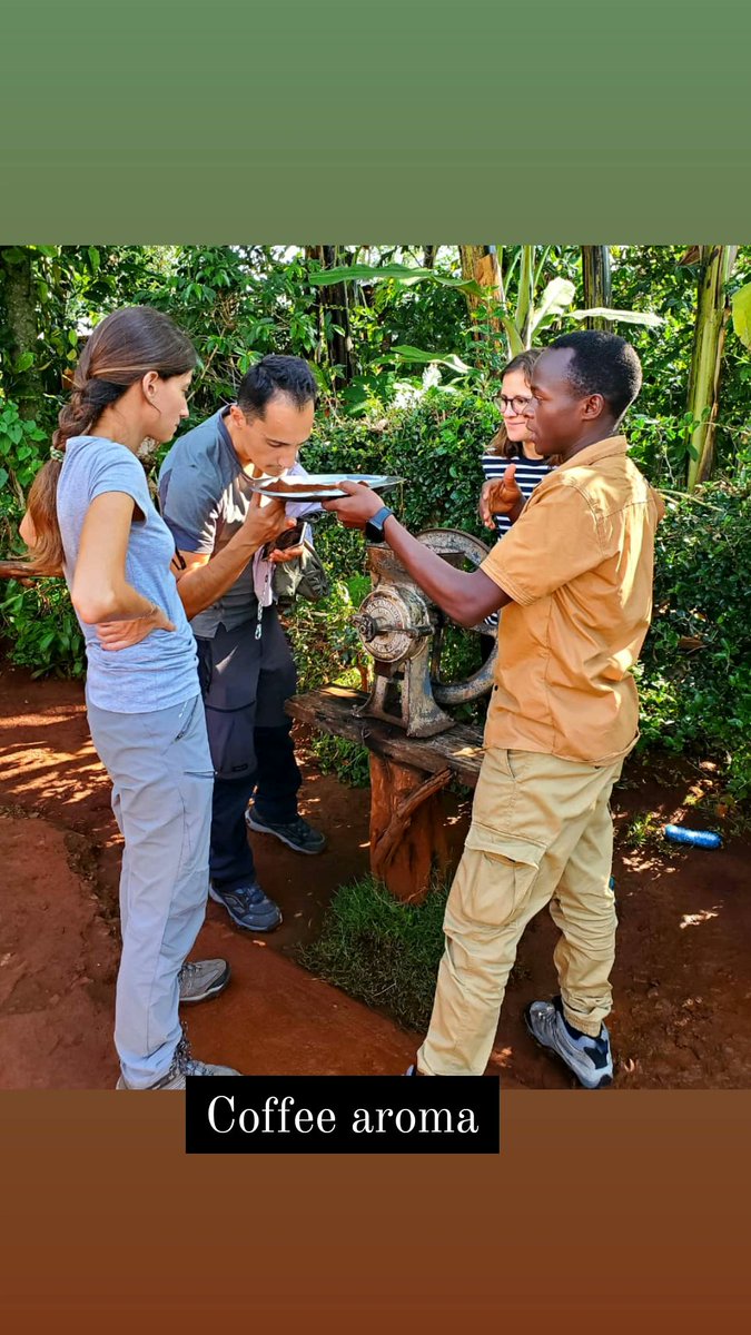 SIPI FALLS EXPLORERS tweet media