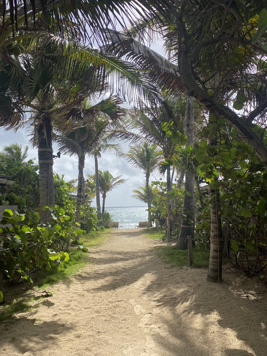 soha_vv's tweet photo. Déjà presque 1 an que j’ai poser les pieds sur ce petit paradis 🌴 https://t.co/EktmuS5eBT