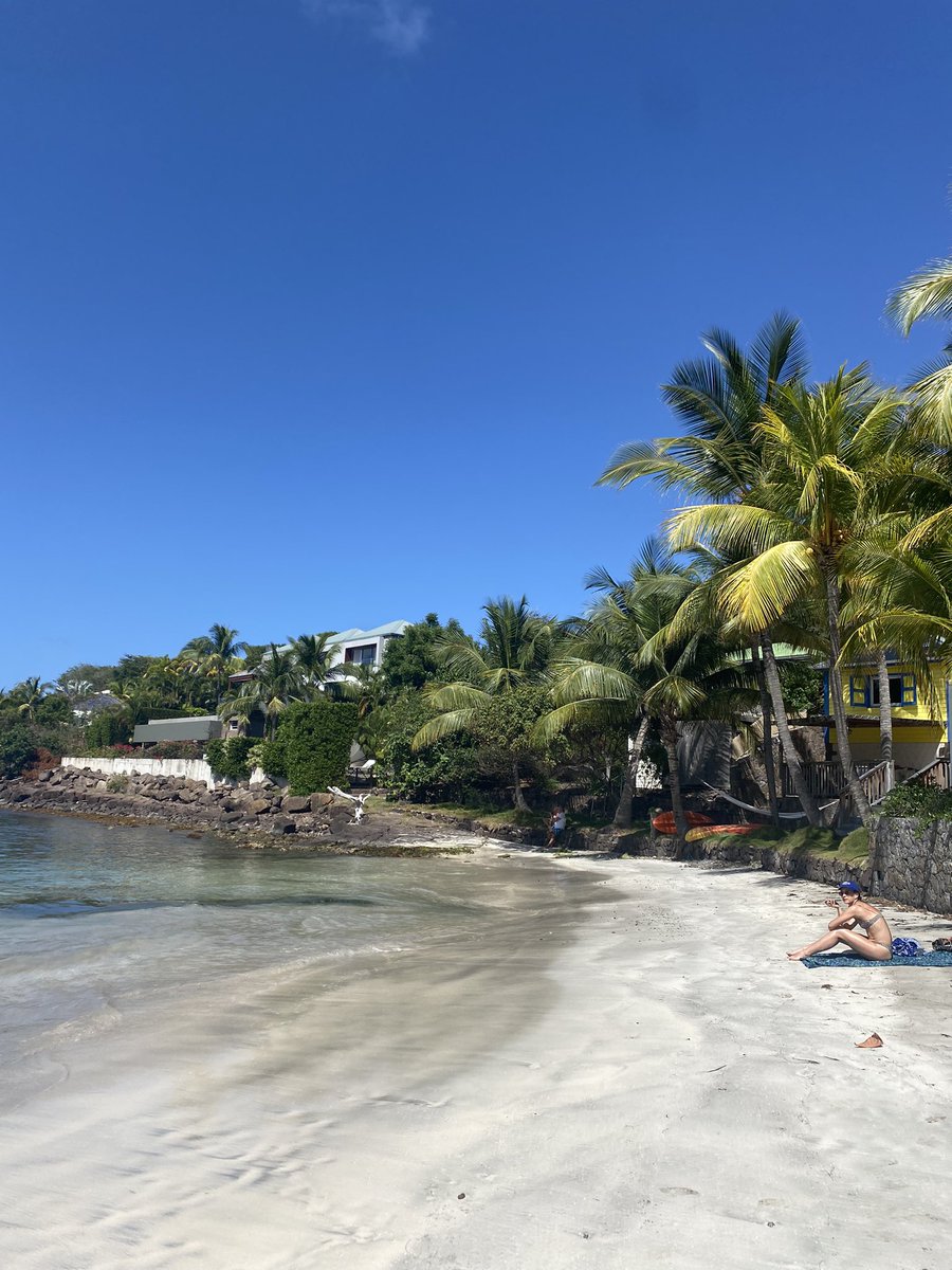 soha_vv's tweet photo. Déjà presque 1 an que j’ai poser les pieds sur ce petit paradis 🌴 https://t.co/EktmuS5eBT