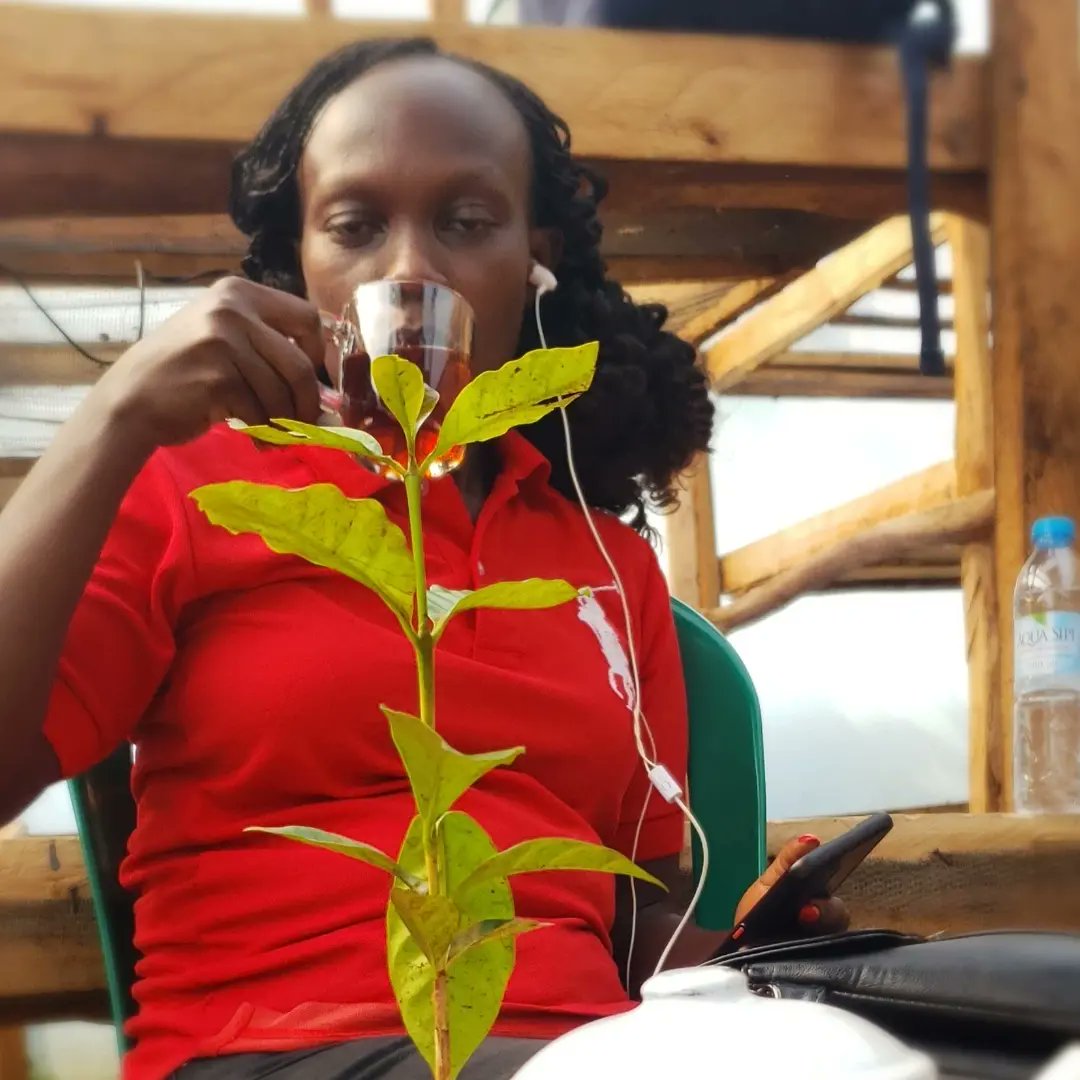 SIPI FALLS EXPLORERS tweet media