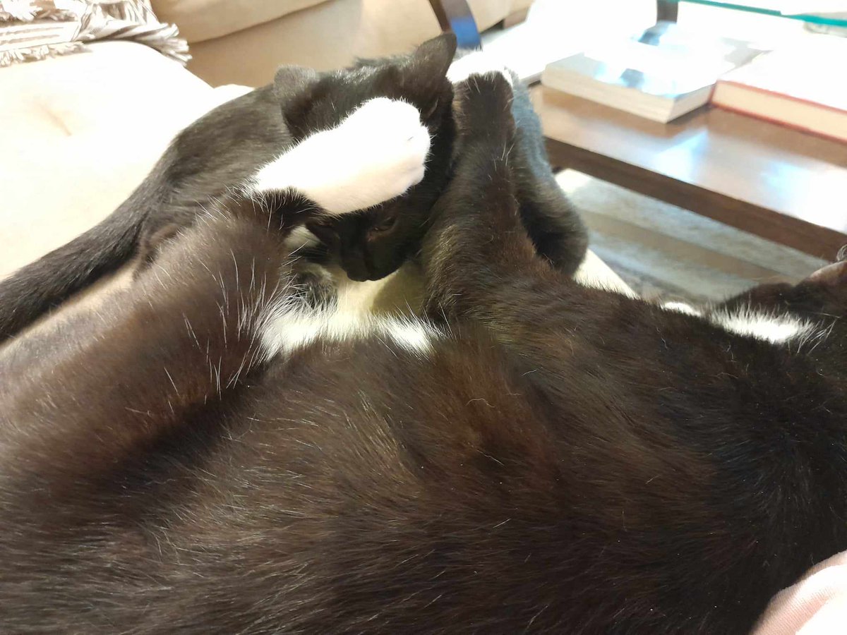 Allison Stalberg (in the query trenches) tweet media