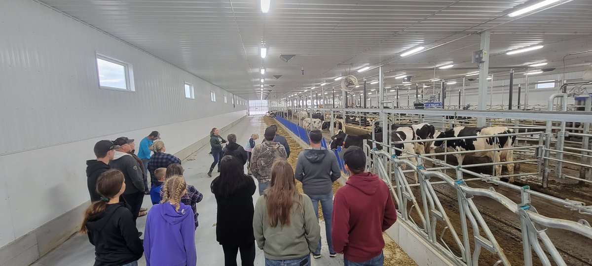 Dean Toews tweet media