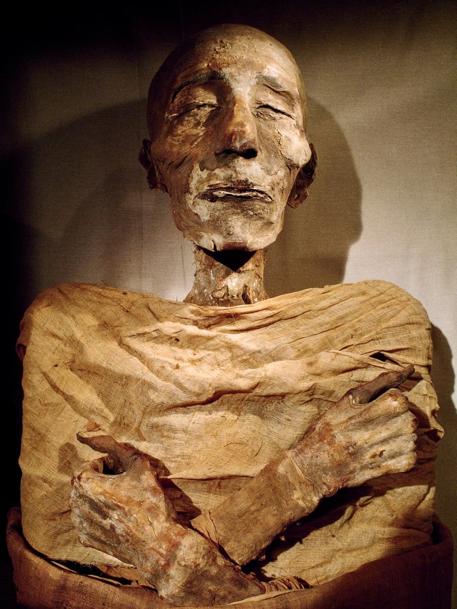 BrightInsight6's tweet photo. The Black Market for Ancient Egyptian Mummies is a ~$3 Billion a YEAR industry

Apparently super wealthy elites flex by decorating living-rooms with these lavishly eclectic statement-pieces  ☠️ 🧟‍♂️ ⚰️ https://t.co/qUHkOUY6f9