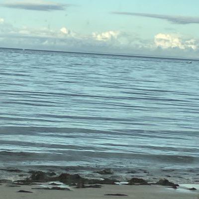 ruby_gordon11's tweet image. #NewProfilePic