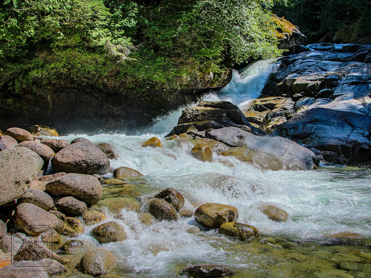 Rushing water of the Tye River near Alpine Falls, King County, Washington. #water #stream #rocks #trees #nature #landscape #TyeRiver #WashingtonState #chasingwaterfalls #pnwphotography @DailyEarthPics1 @natureisbeaute @TravelAndLove
