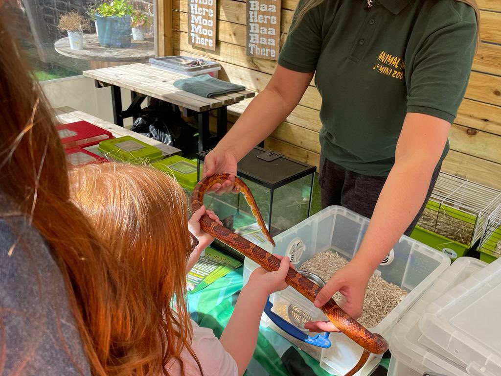 Wellside tweet media