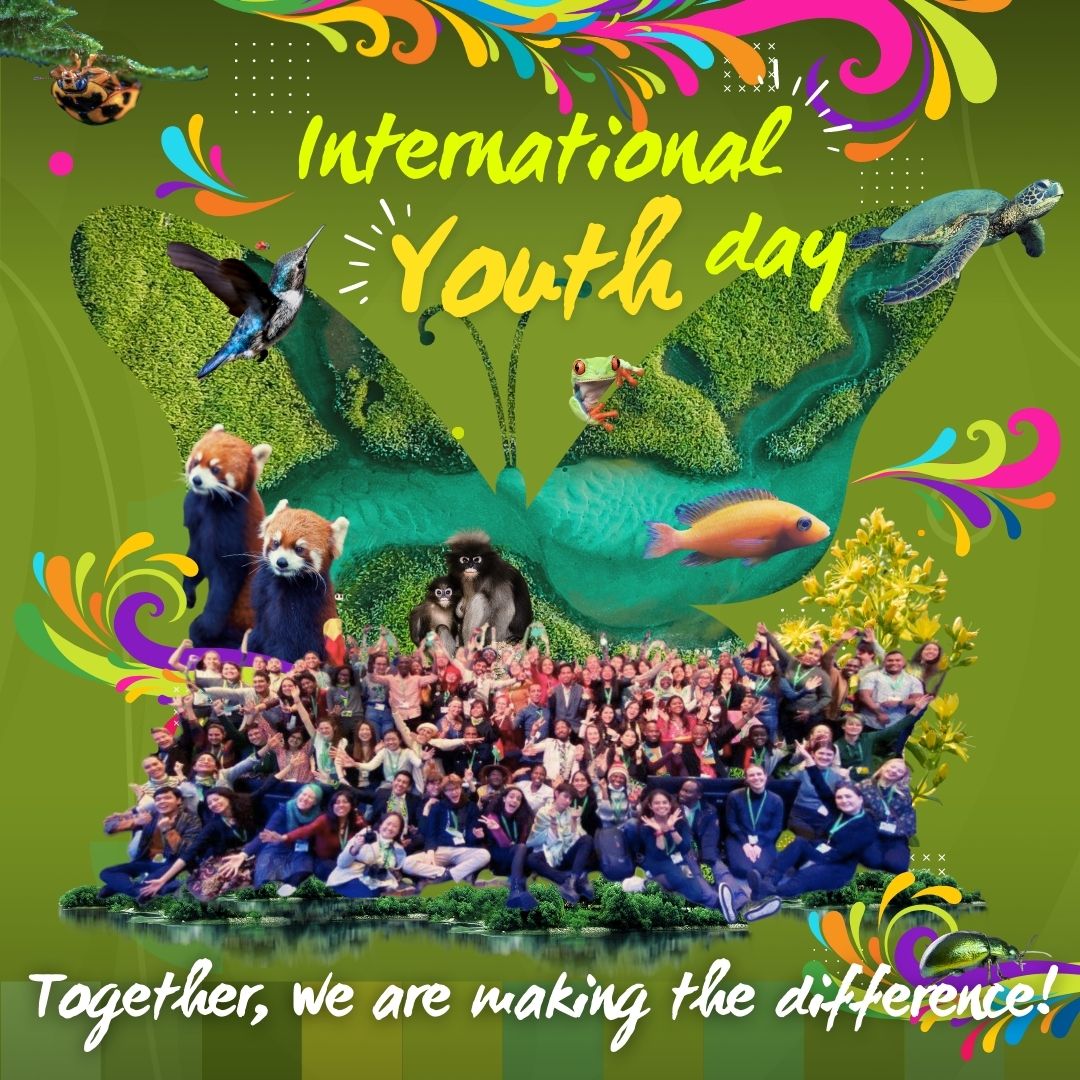 GYBN_CBD's tweet photo. International Youth Day! 🌱✌️🏾

Together, we can make a difference!
Today, we celebrate the unstoppable energy and commitment that, as young change-makers, leads the way towards living in harmony with nature✨
(1/3) 

#InternationalYouthDay #YouthIntoAction https://t.co/YYGd3yn1gk