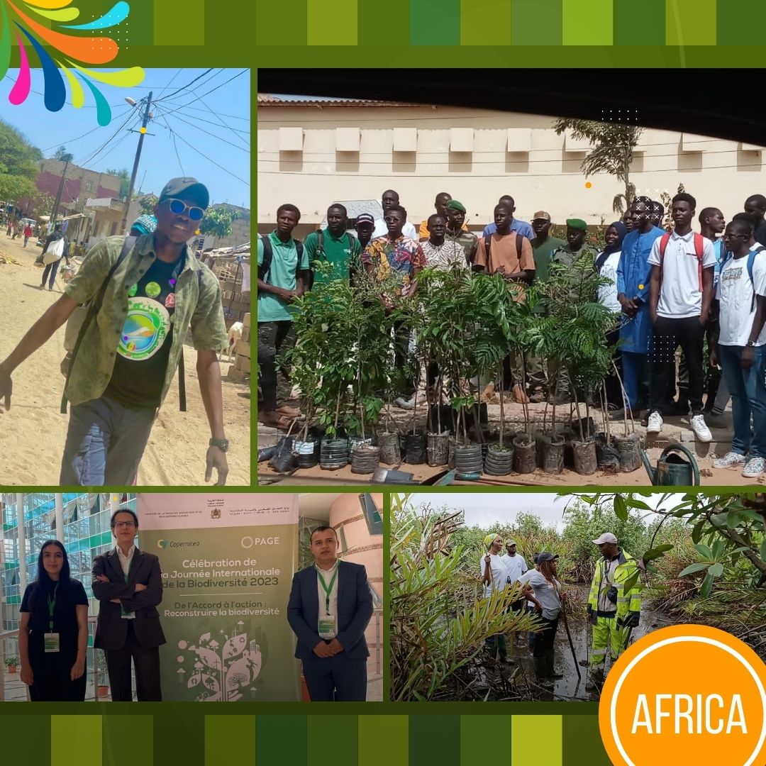GYBN_CBD's tweet photo. From local communities to global initiatives, young people are already taking meaningful actions to implement the Kunming-Montreal Global Biodiversity Framework. 

(2/3)

#InternationalYouthDay #YouthIntoAction https://t.co/PHnY8WRrCU