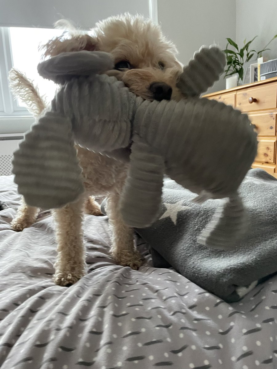 Claudia Money tweet media