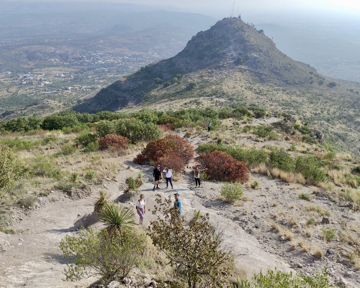 Dextra Technologies a Deloitte business tweet media