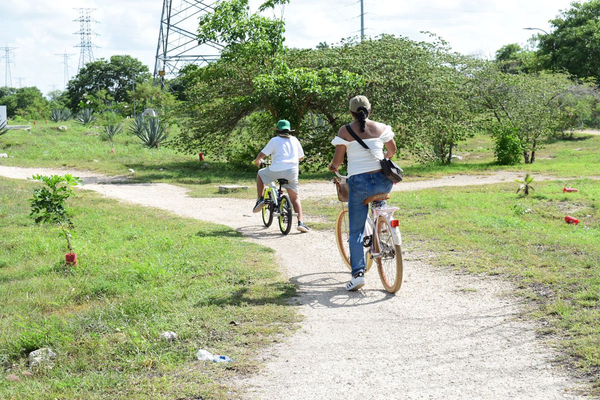 ImdutYucatan tweet picture