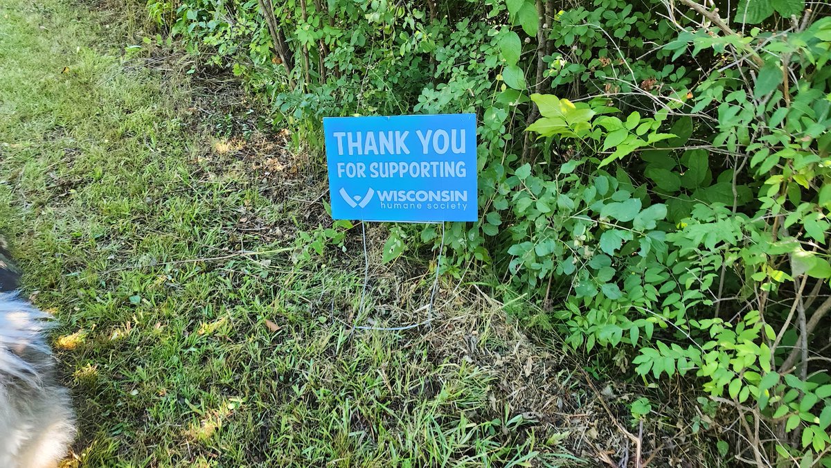 beckbjj's tweet photo. .@WiscHumane #PetWalk #PetWalkRacine #WiscHumane #LucyFurTweetsStrong
3/5 https://t.co/knFuxqMZxB