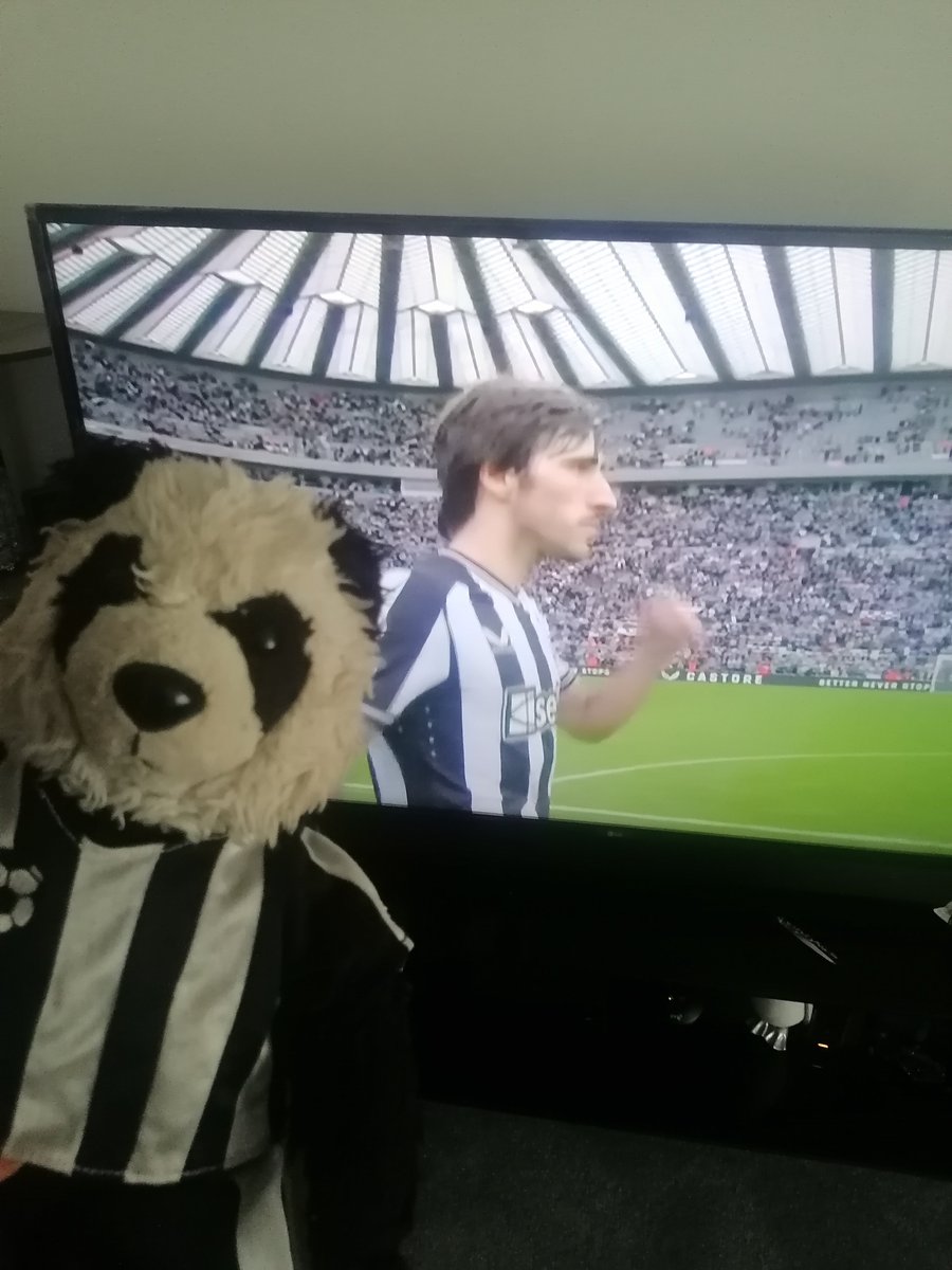 BabyPanda99's tweet photo. Tonali 😍

#NUFC #toonarmy #happyseasonstart 😁😁😁⚽⚽🖤🤍 https://t.co/LFhoW3BtMP