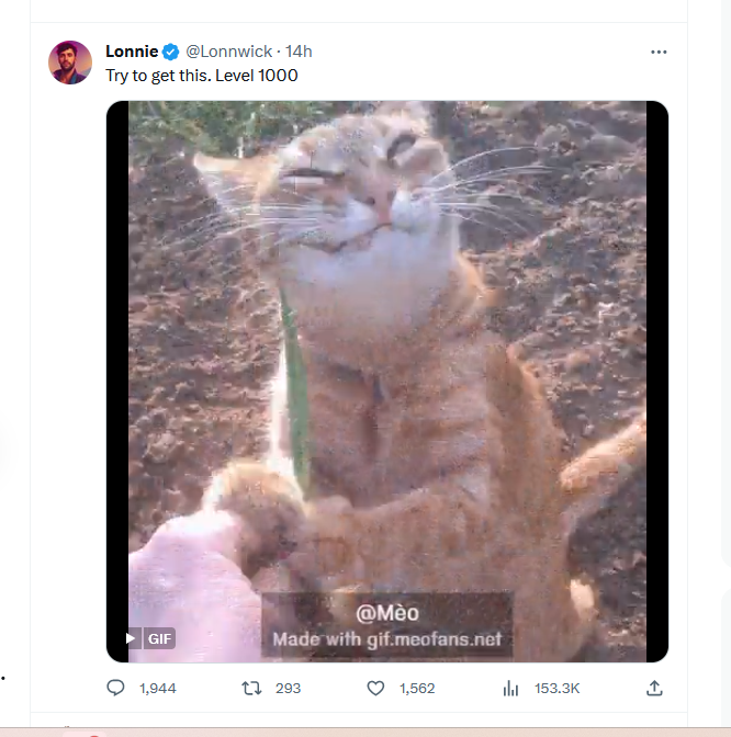 SheetetRoblox's tweet photo. @Lonnwick 2nd or 3rd try https://t.co/TXFZMQVeW2